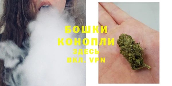 PSILOCYBIN Липки